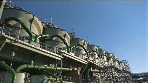 深化六個引領，建設一帶一路精品工程——礦冶集團南非PMC浮選廠總承包項目建設紀實